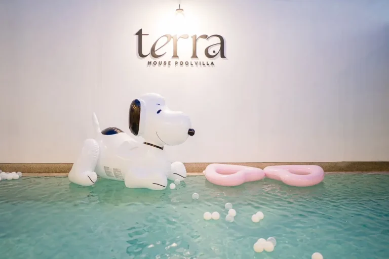 LINE_ALBUM_🏔️Terra House✨_260115_53