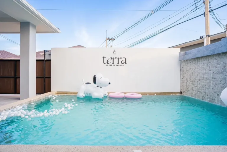LINE_ALBUM_🏔️Terra House✨_260115_78